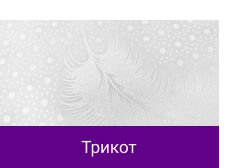 Трикот.png